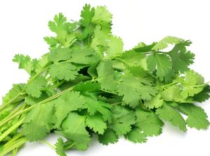 health benefits of coriander