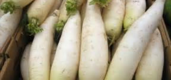 radish salad